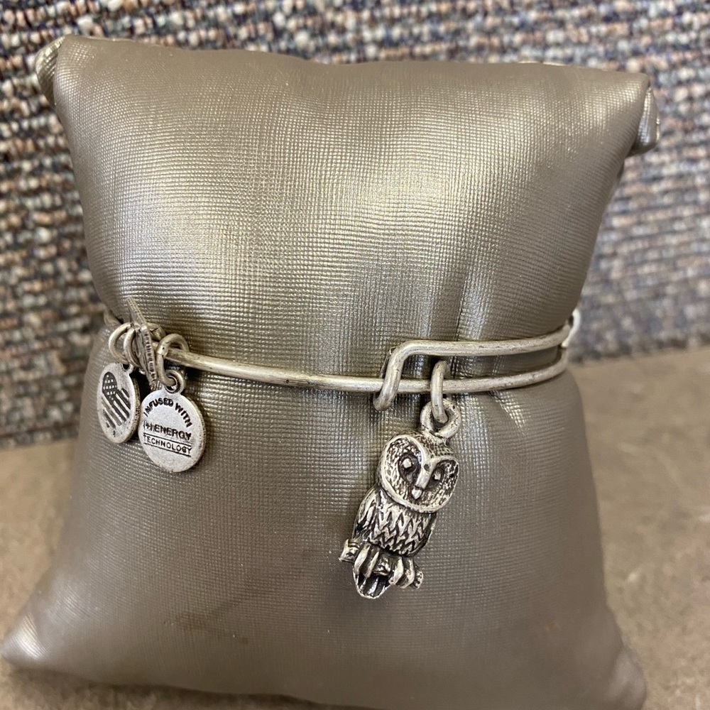 Alex and ani owl silver finish bracelet